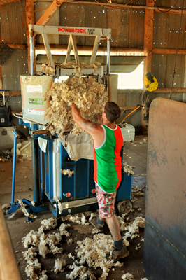 Steam Plains Shearing 022261 © Claire Parks Photography 